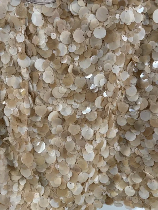 Zara Satin Mini Skirt with Champagne Sequins - Picture 2 of 4